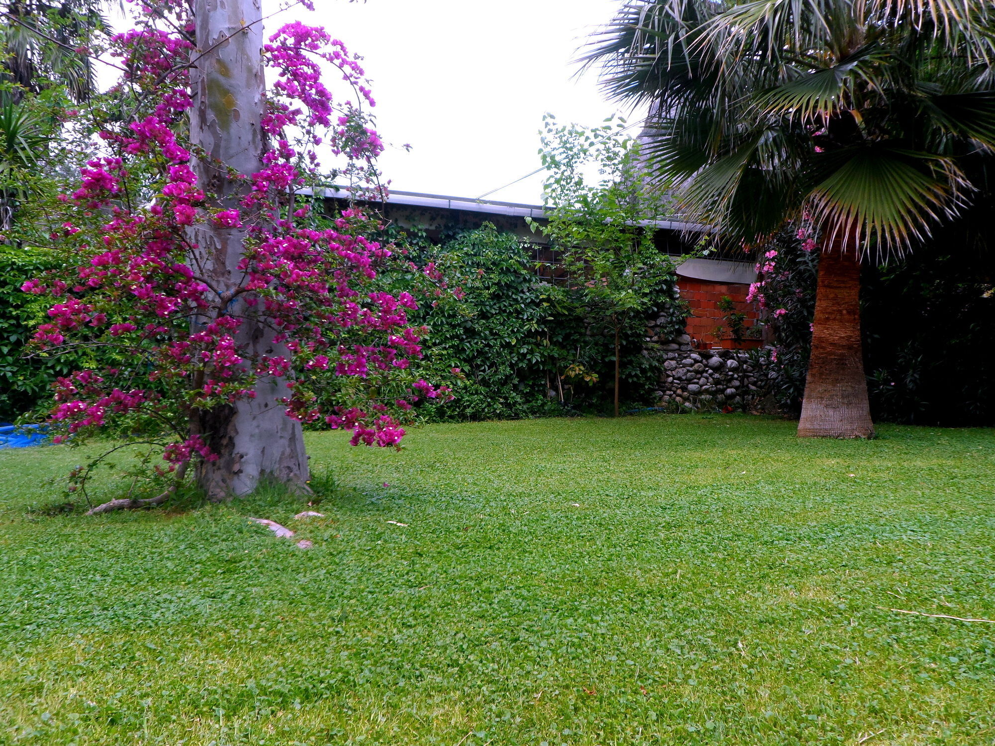 Arya Holiday Houses Cirali Bagian luar foto